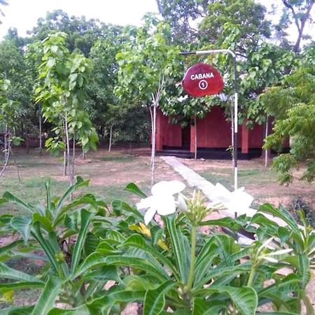 Lavish Eco Jungle Otel Tissamaharama Dış mekan fotoğraf