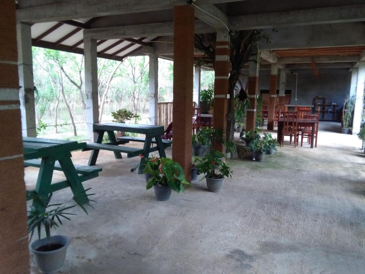 Lavish Eco Jungle Otel Tissamaharama Dış mekan fotoğraf