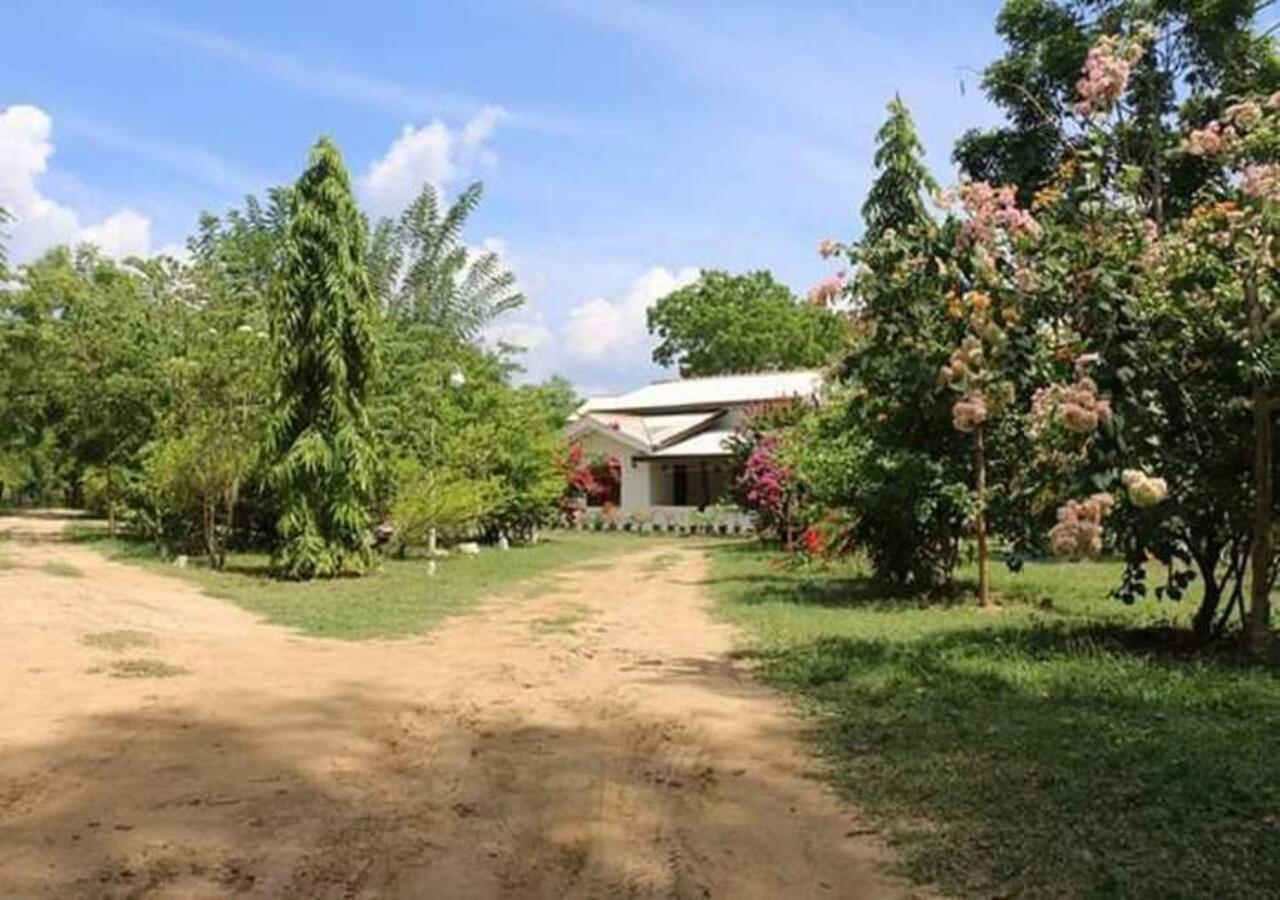 Lavish Eco Jungle Otel Tissamaharama Dış mekan fotoğraf