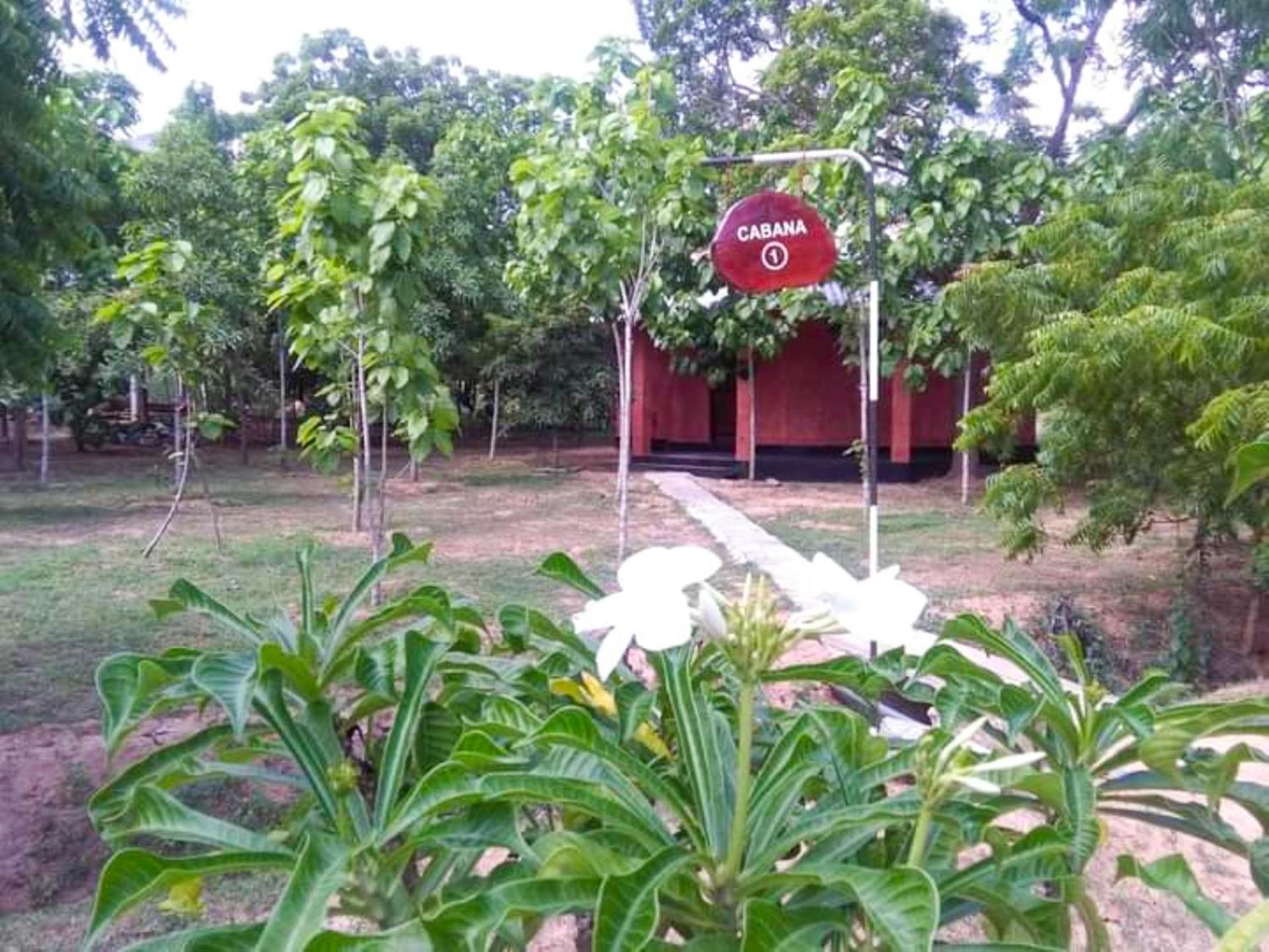 Lavish Eco Jungle Otel Tissamaharama Dış mekan fotoğraf