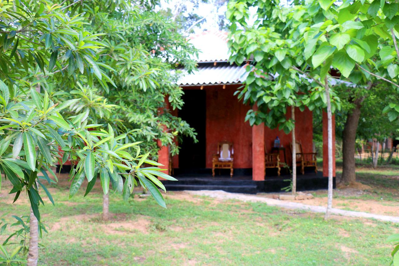 Lavish Eco Jungle Otel Tissamaharama Dış mekan fotoğraf