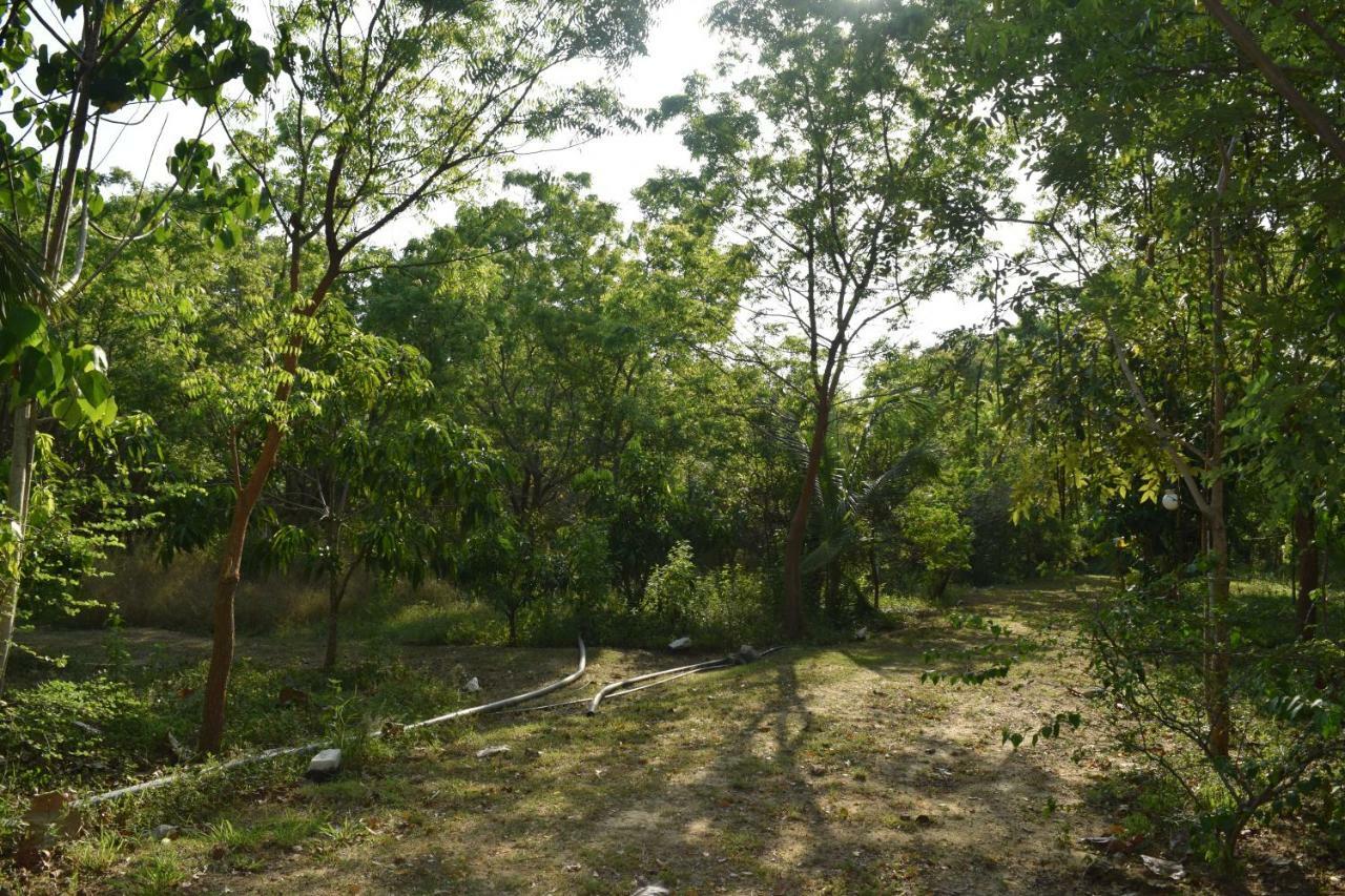 Lavish Eco Jungle Otel Tissamaharama Dış mekan fotoğraf