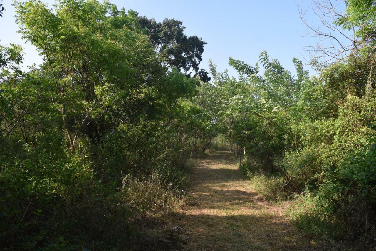 Lavish Eco Jungle Otel Tissamaharama Dış mekan fotoğraf