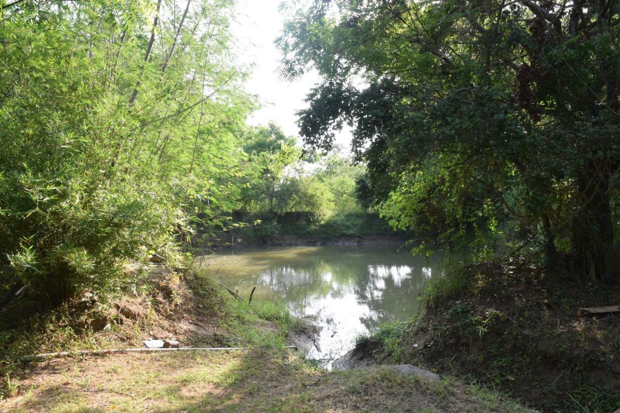 Lavish Eco Jungle Otel Tissamaharama Dış mekan fotoğraf