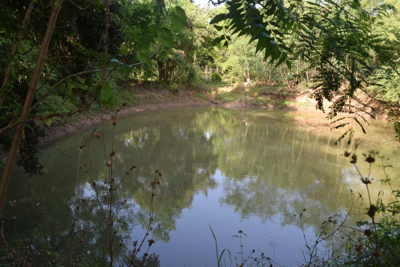 Lavish Eco Jungle Otel Tissamaharama Dış mekan fotoğraf
