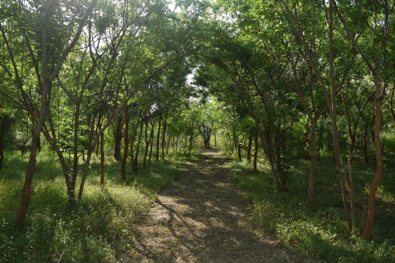 Lavish Eco Jungle Otel Tissamaharama Dış mekan fotoğraf
